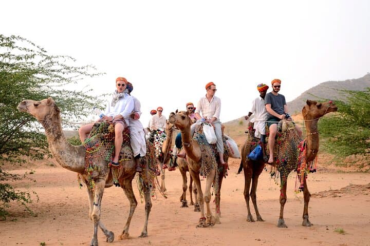 Pushkar Camel Safari and Overnight Desert Camp Experience photo 5
