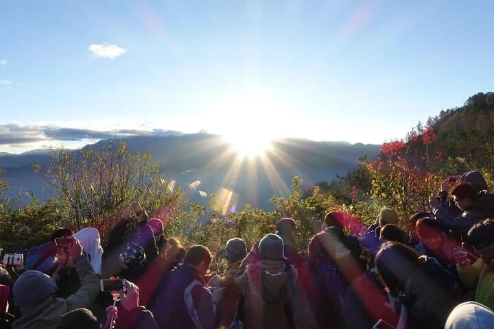 Alishan Sunrise and Ancient Trees: Visitor Guide to Alishan National Forest photo 3