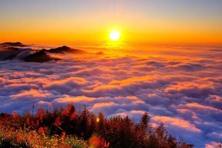 Alishan Sunrise and Ancient Trees: Visitor Guide to Alishan National Forest photo 4