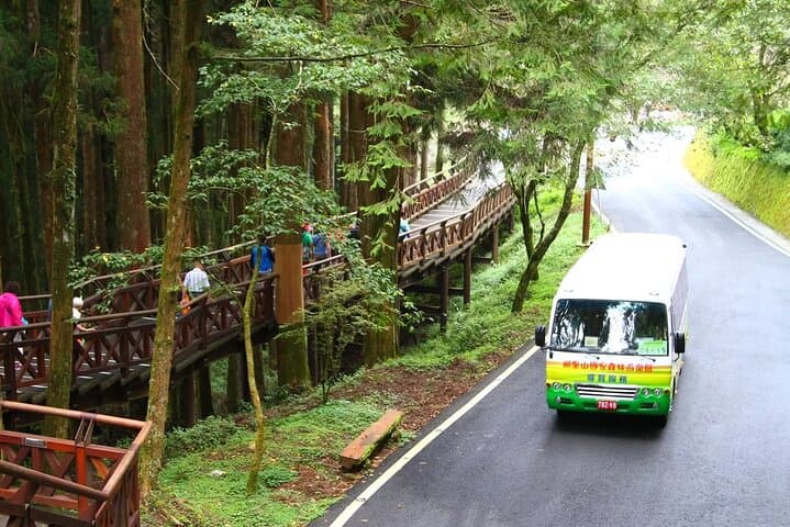 Alishan Sunrise and Ancient Trees: Visitor Guide to Alishan National Forest photo 2