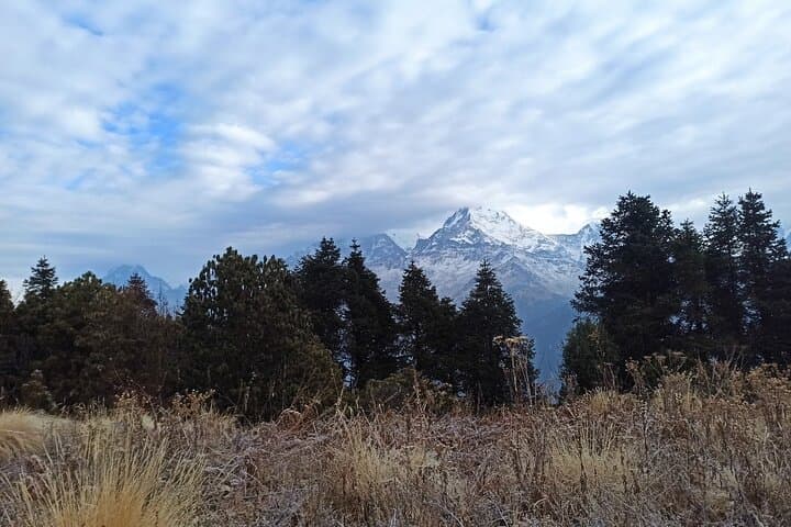 Poon Hill Trek from Pokhara: 4-Day Ghorepani Sunrise Trek photo 4
