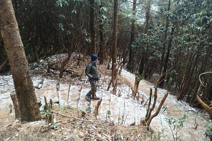Poon Hill Trek from Pokhara: 4-Day Ghorepani Sunrise Trek photo 5