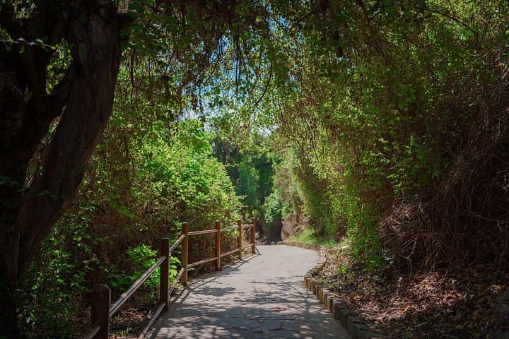 Paphos to Blue Lagoon & Baths of Aphrodite: Akamas Day Cruise with Polis Lunch photo 2