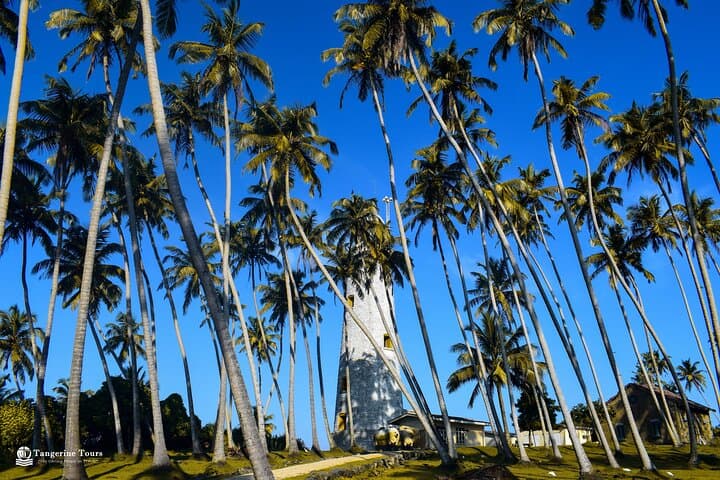 Colombo 2-Night Nature Tour: Botanical Garden, Rainforest Walk & Barberyn Island photo 1
