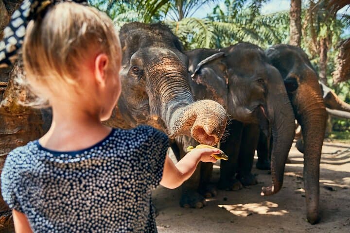 Phuket Full-Day Highlights: Temples, Old Town & Adventure photo 4