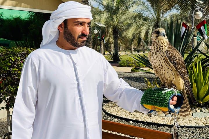 Abu Dhabi Falcon Hospital Tour — Hold a Falcon & Discover Emirati Falconry photo 1
