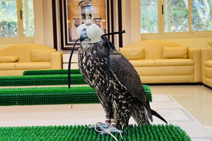 Abu Dhabi Falcon Hospital Tour — Hold a Falcon & Discover Emirati Falconry photo 2