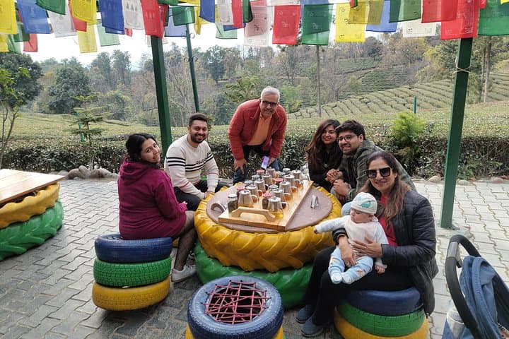 Palampur Tea Garden Tour — Kangra Tea Tasting & Estate Walk from Dharamshala photo 4