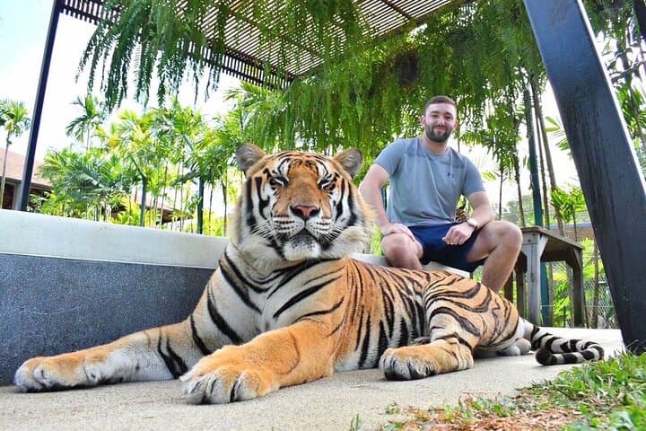 Phuket Full-Day Highlights: Temples, Old Town & Adventure photo 6