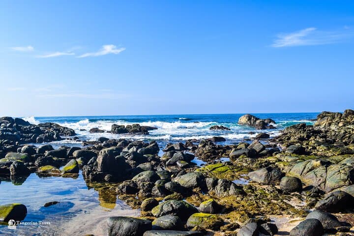 Colombo 2-Night Nature Tour: Botanical Garden, Rainforest Walk & Barberyn Island photo 2