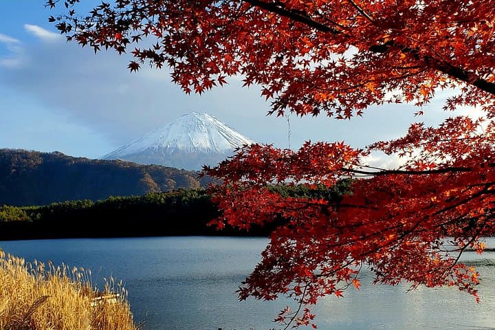 Mount Fuji Full-Day Private Tour from Tokyo — Customize Kawaguchiko, Oshino Hakkai & More photo 3
