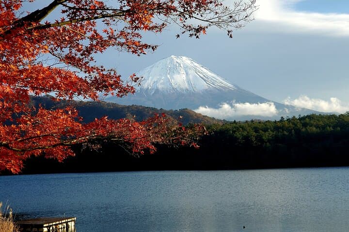 Mount Fuji & Hakone Private Day Trip from Tokyo — Lake Ashi Cruise, Owakudani & Ropeway photo 5