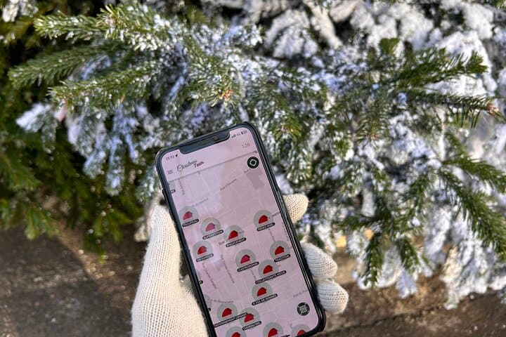 Annecy Christmas Market Scavenger Hunt — Unusual Track Game for Teams