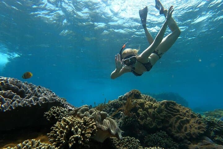 Snorkel with Manta Rays & West Coast Tour Nusa Penida photo 6