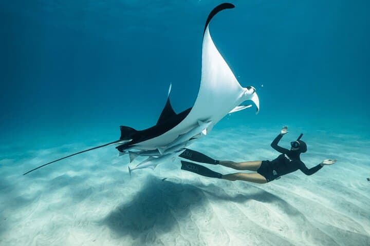 Snorkel with Manta Rays & West Coast Tour Nusa Penida