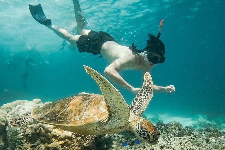 Snorkel with Manta Rays & West Coast Tour Nusa Penida photo 4