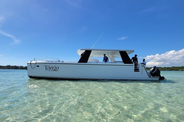 Half-Day Private Power Catamaran Charter on St. Lucia's West Coast