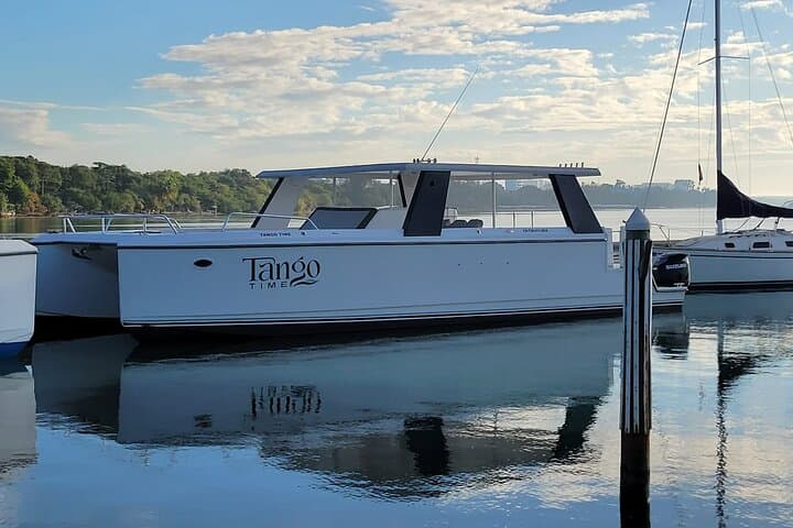 Half-Day Private Power Catamaran Charter on St. Lucia's West Coast photo 4