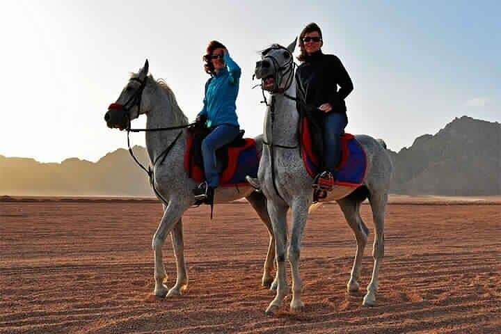 Horseback Riding from Desert to Red Sea: Hurghada Beach & Dune Ride photo 5
