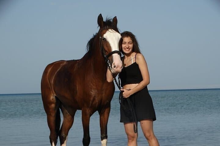 Horseback Riding from Desert to Red Sea: Hurghada Beach & Dune Ride photo 6