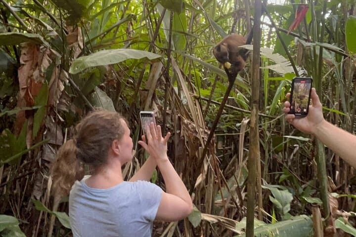Tambopata Canopy & Kayak Day: Zipline, River Paddle, and Monkey Island Adventure photo 5