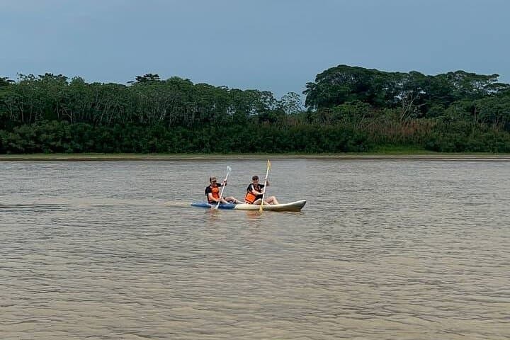 Tambopata Canopy & Kayak Day: Zipline, River Paddle, and Monkey Island Adventure photo 6