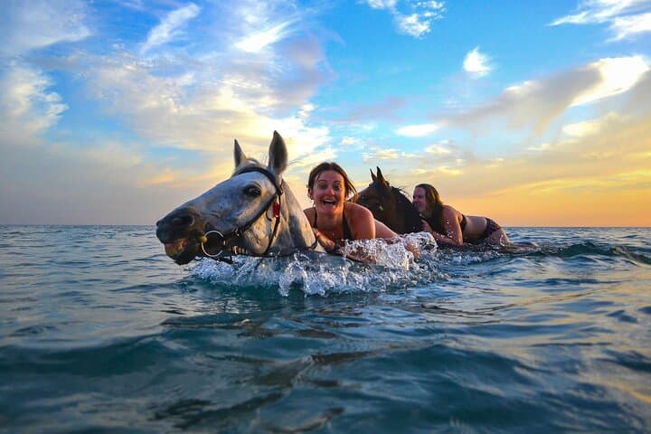 Zakynthos Horseback Riding & Beach Swim Experience photo 2