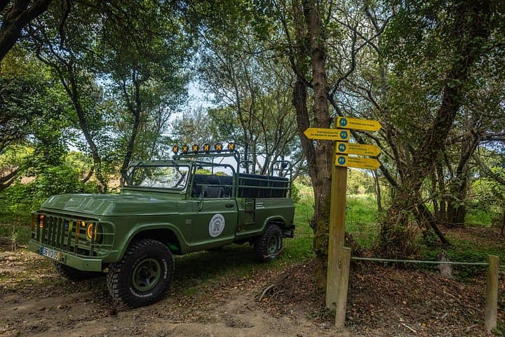 Portugal’s North Coast: Nature, History & Coastal Culture from Porto photo 2