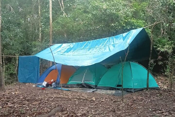 4-Day Amazon Wildlife Expedition in Pacaya-Samiria: Pink Dolphins, Night Walks & Jungle Camping photo 3
