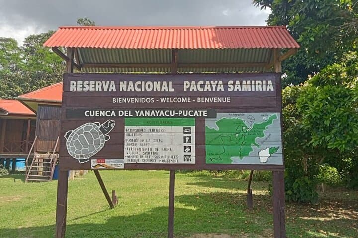 4-Day Amazon Wildlife Expedition in Pacaya-Samiria: Pink Dolphins, Night Walks & Jungle Camping photo 5