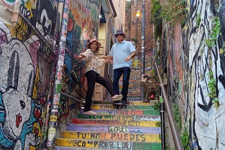 Valparaiso & Casablanca Wine Day Trip from Santiago: Private Tour Guide