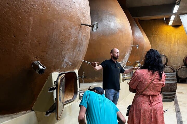 Valparaiso & Casablanca Wine Day Trip from Santiago: Private Tour Guide photo 4