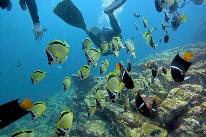 Private Snorkeling Boat Charter from Potrero Marina — Half-Day Gulf of Papagayo Adventure photo 2