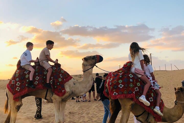 VIP Sunset Red Dune Safari in Dubai — Camel Ride, Dune Bashing & BBQ Dinner photo 2