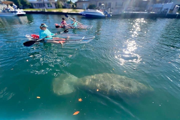Crystal River Clear Kayak Tour to Three Sisters Springs — Manatee Viewing & Free Photos photo 2