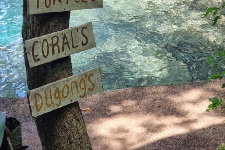 Top Rock Snorkeling at Saama Village — Vanuatu Ocean Discovery