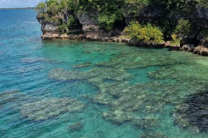Top Rock Snorkeling at Saama Village — Vanuatu Ocean Discovery photo 4