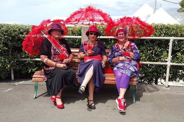 Napier Highlights Plus: Art Deco, Murals & Coastal Discovery photo 2