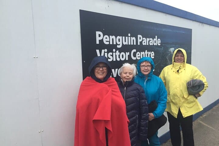 Private Phillip Island Penguin Tour from Melbourne — Premium Penguin Parade & Island Highlights photo 4