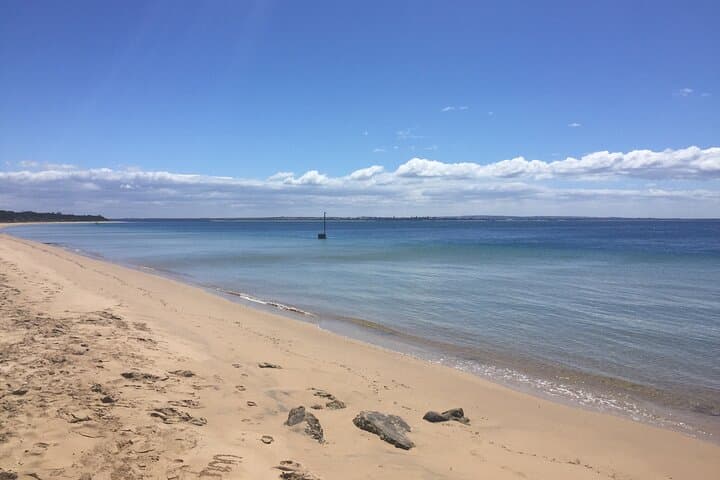 Private Phillip Island Penguin Tour from Melbourne — Premium Penguin Parade & Island Highlights photo 5