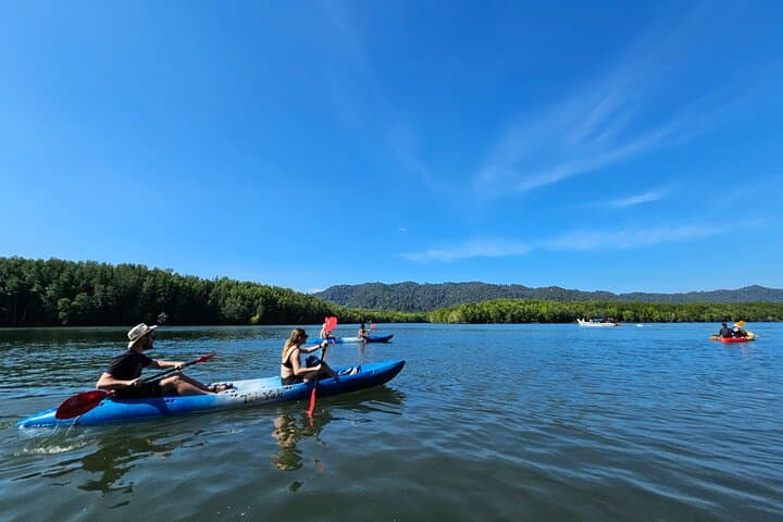 Half-Day Mangrove Kayak & Longtail Boat Tour in Koh Lanta — Thung Yee Peng Eco-Trip photo 4