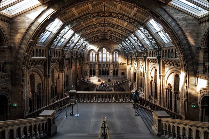 Natural History Museum London Audio Guide & Reserved Entry Ticket — Highlights Tour photo 6