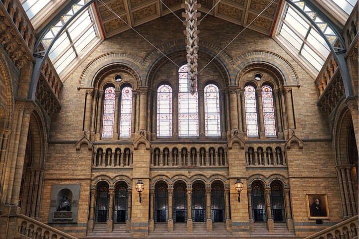 Natural History Museum London Guided Tour: Dinosaurs, Mammals & Earth Science photo 4