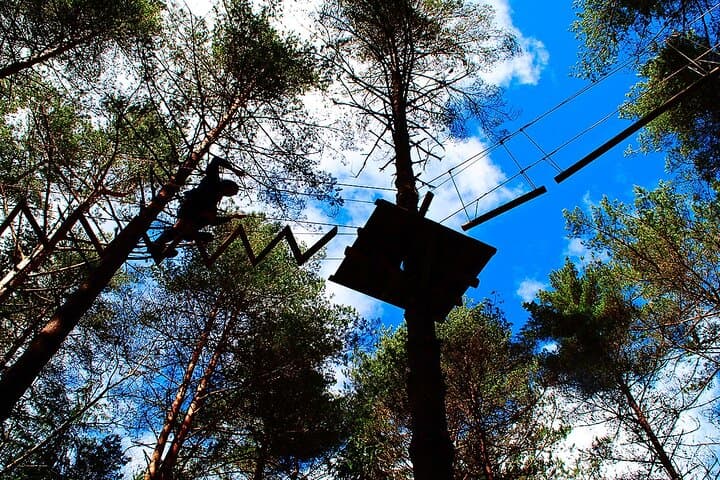 Braga Multi-Activity: Arboring, Rappel, Climbing & Zip Slide (90 min)