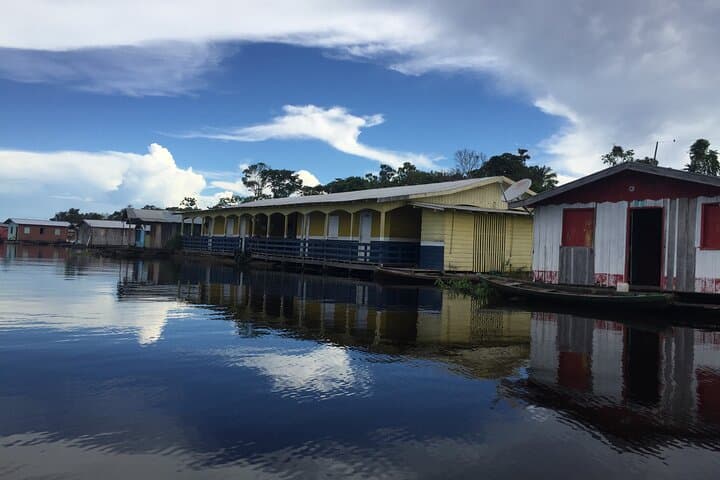 Amazon River Half-Day Tour from Manaus — Meeting of Waters & Floating Villages photo 4