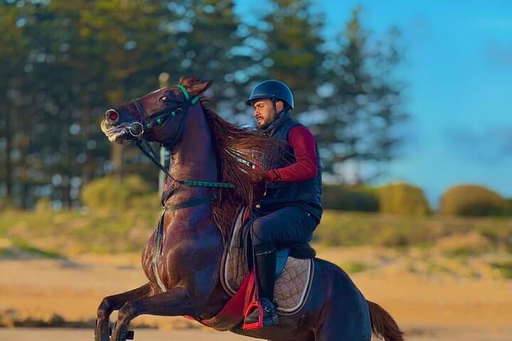 Horseback Riding in Haouzia: Beach & Forest Rides Near Casablanca photo 2