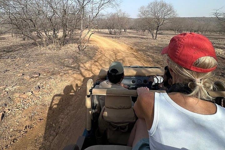 Jaipur to Ranthambore Day Trip: Tiger Safari and Ranthambore Fort Experience photo 3