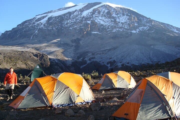 7-Day Machame Route Kilimanjaro (Whiskey Route): Complete Summit Guide to Uhuru Peak photo 6