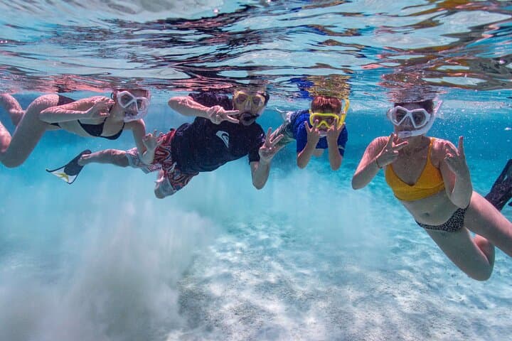 Private South Bonaire Island & Snorkeling Tour — Salt Flats, Slave Huts & Turquoise Reefs photo 3