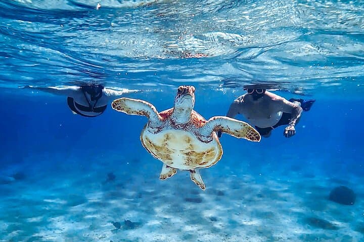 Private South Bonaire Island & Snorkeling Tour — Salt Flats, Slave Huts & Turquoise Reefs